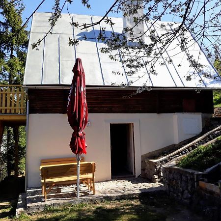 Chata V Moravskeho Krasu Jedovnice Exterior foto